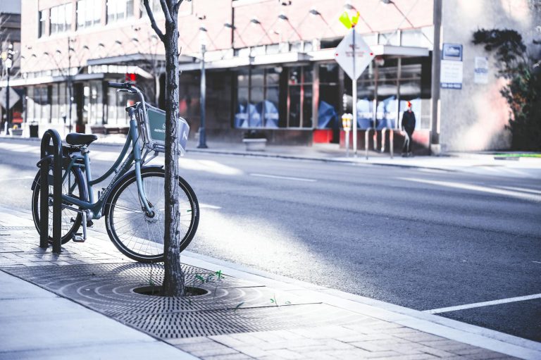 Cycle with basket next to tree